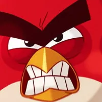 Play Game Angry Birds vs Pigs