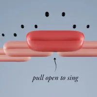 Play Game Fun Choir