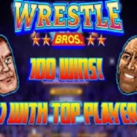 Play Game Wrestle Bros